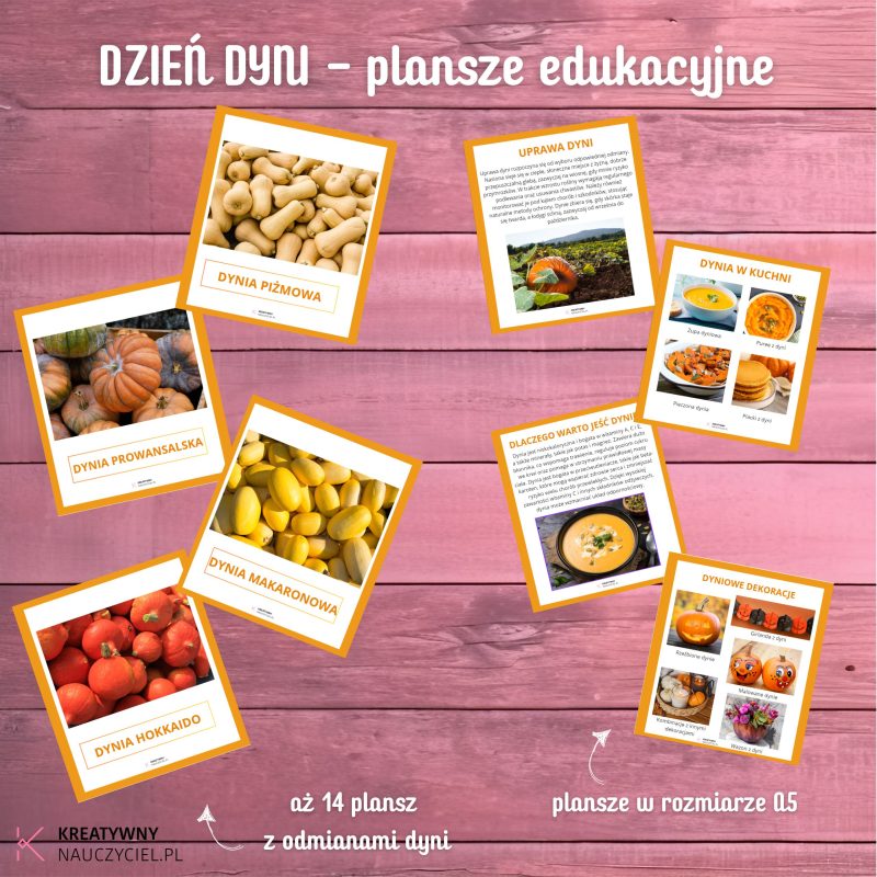 Dzień Dyni - plansze edukacyjne