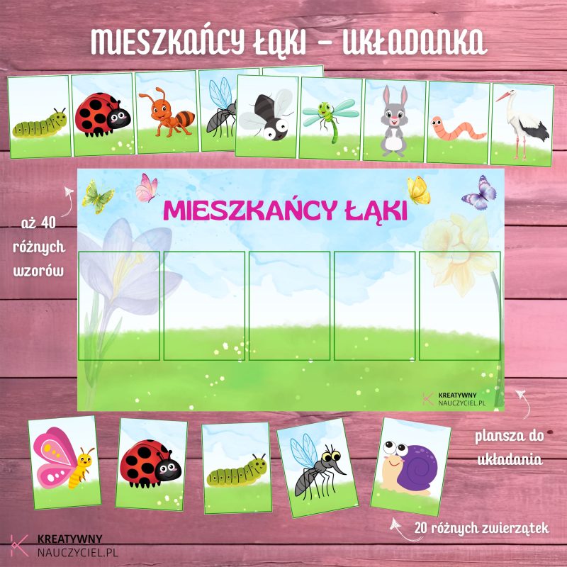 Układanka "Mieszkańcy Łąki"