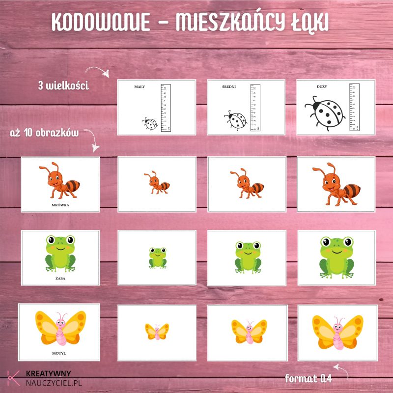 Kodowanie - mieszkańcy łąki